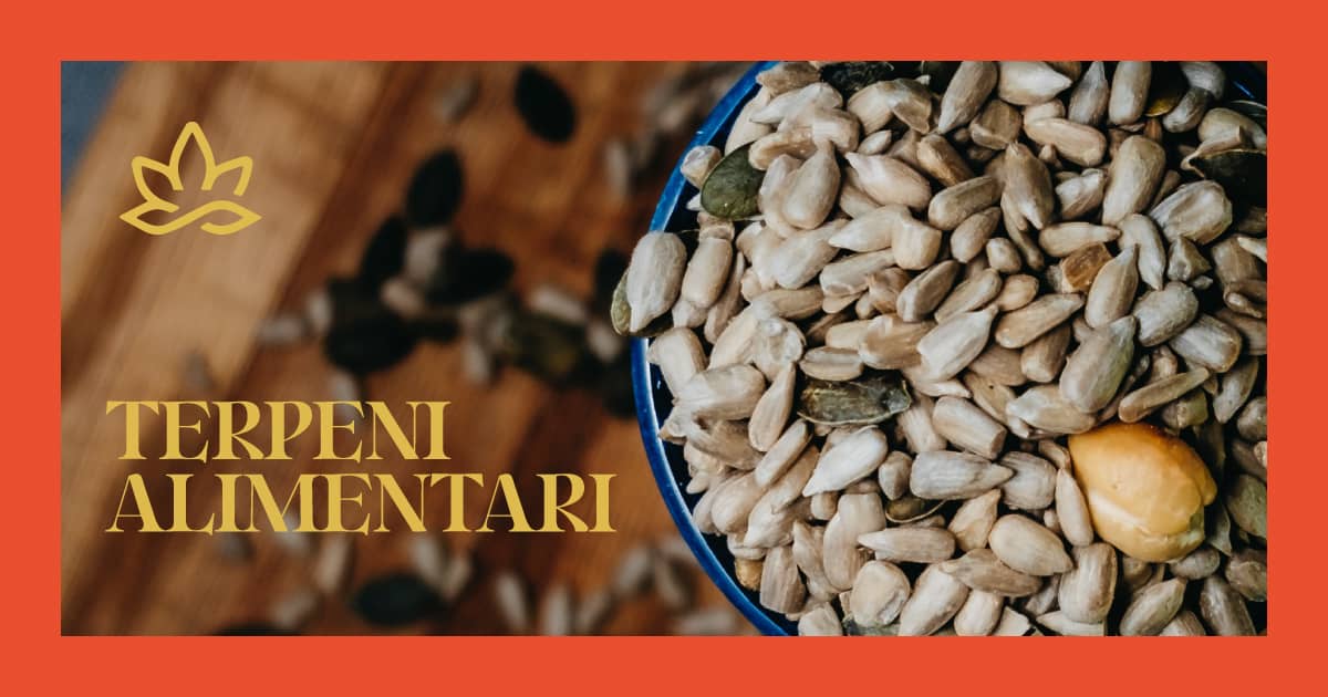 Pachamamahemp_terpeni_alimentari